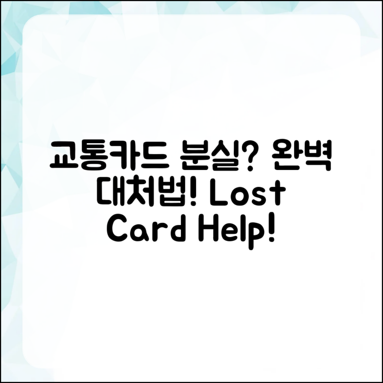 교통카드 분실 대처 완벽 가이드
