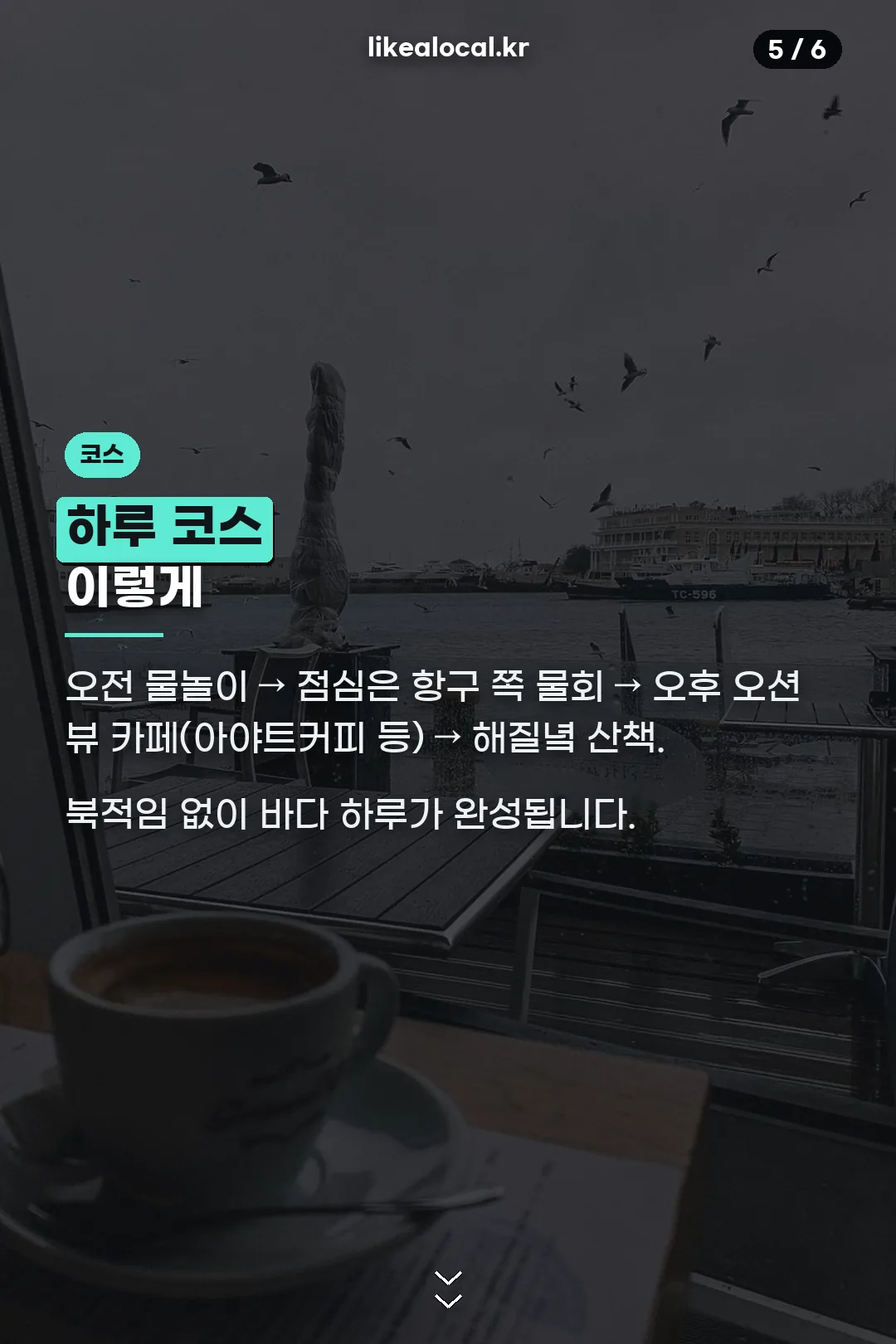 하루 코스