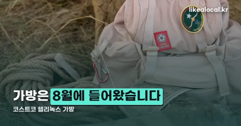 코스트코 헬리녹스 가방 정리 썸네일