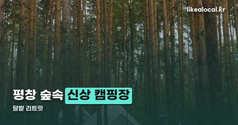 달밭 리트릿 — 평창 신상 캠핑장, 12세 미만은 이용이 제한됩니다