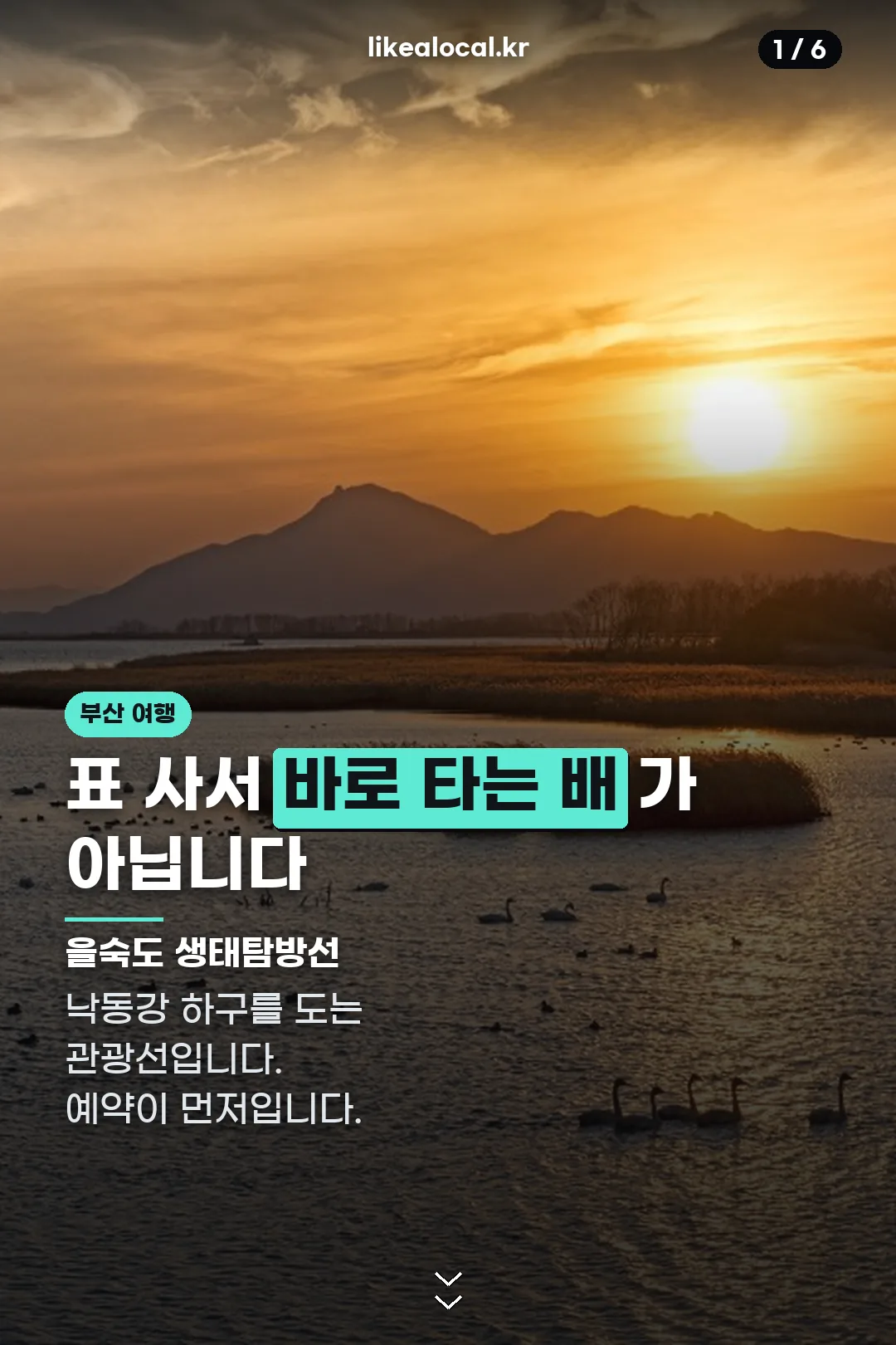 을숙도 생태탐방선 표지