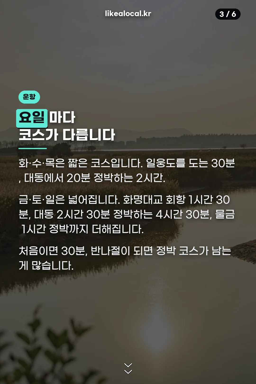 요일별 운항 코스