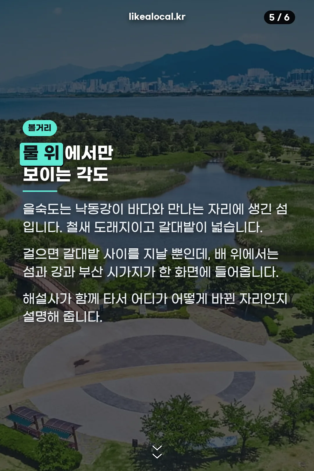 배에서 보는 을숙도 낙동강