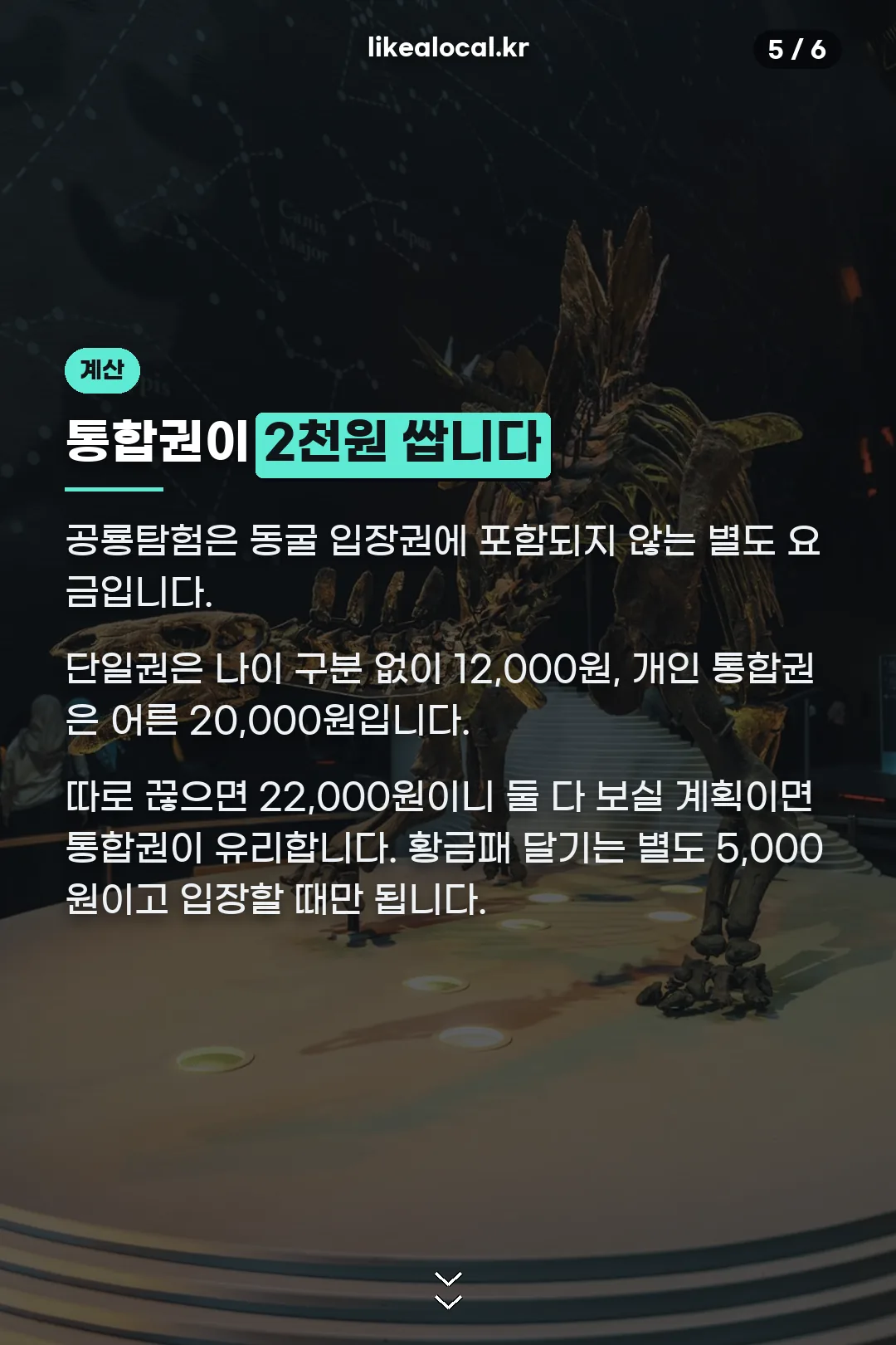 공룡탐험 통합권 계산