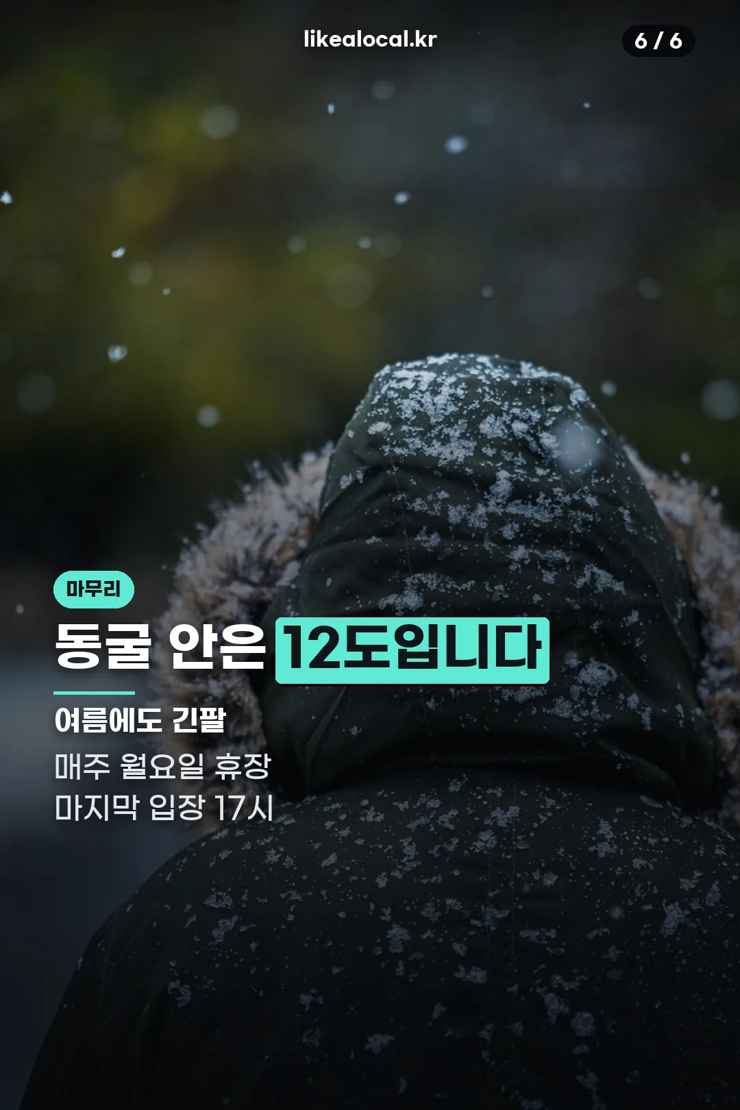 관람 전 준비