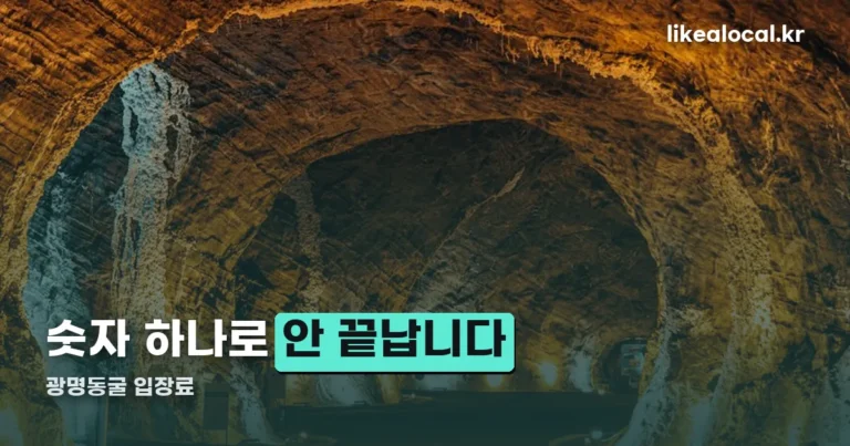 광명동굴 입장료 — 광명시민은 정확히 절반입니다
