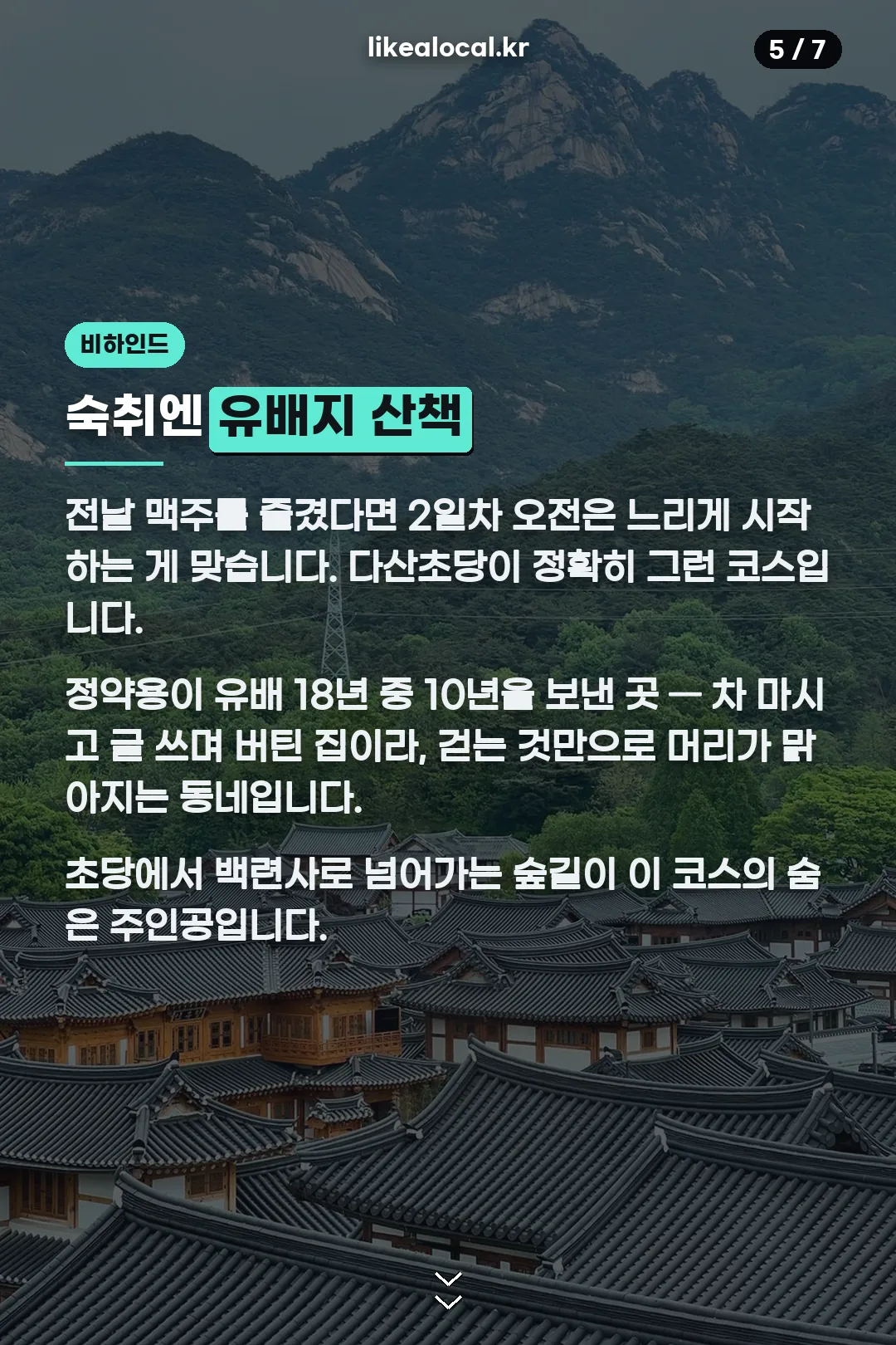 다산초당 백련사 산책 비하인드