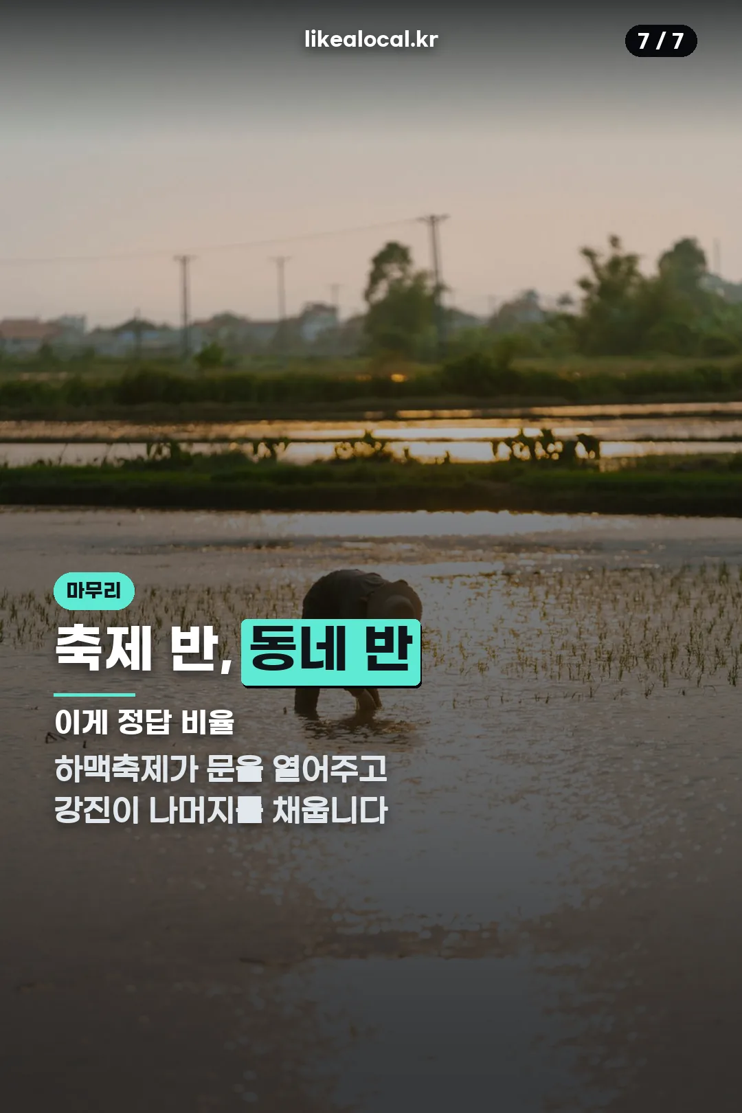 강진 하맥축제 여행 마무리