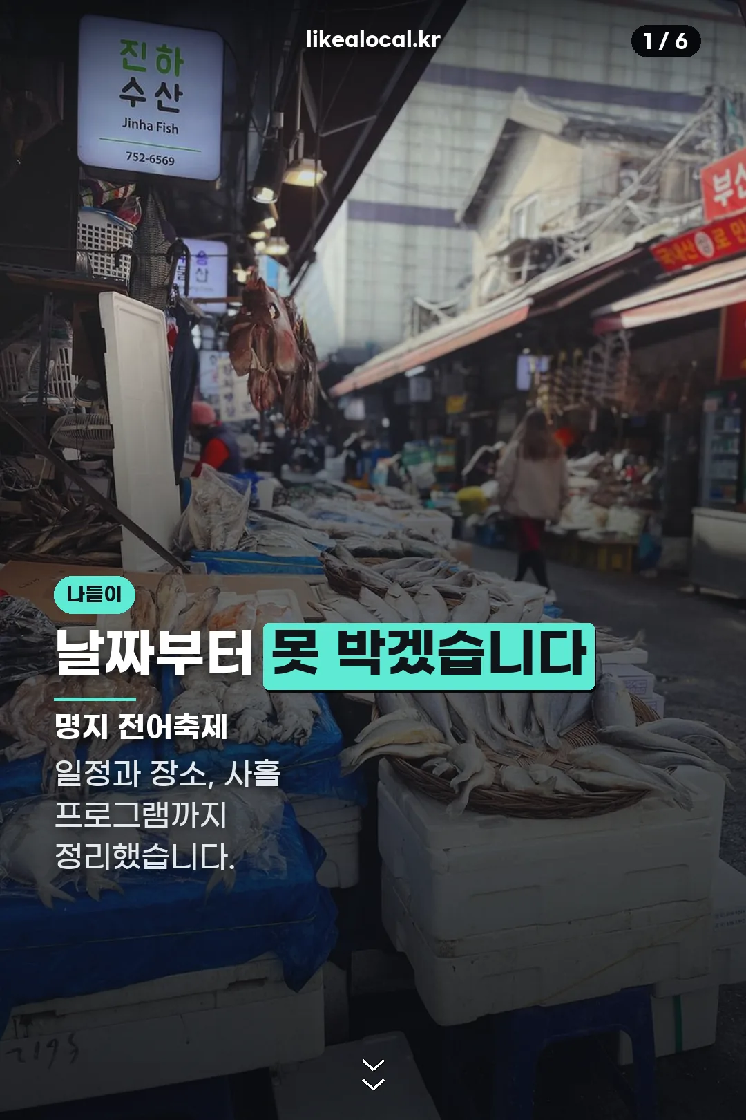 명지 전어축제 표지