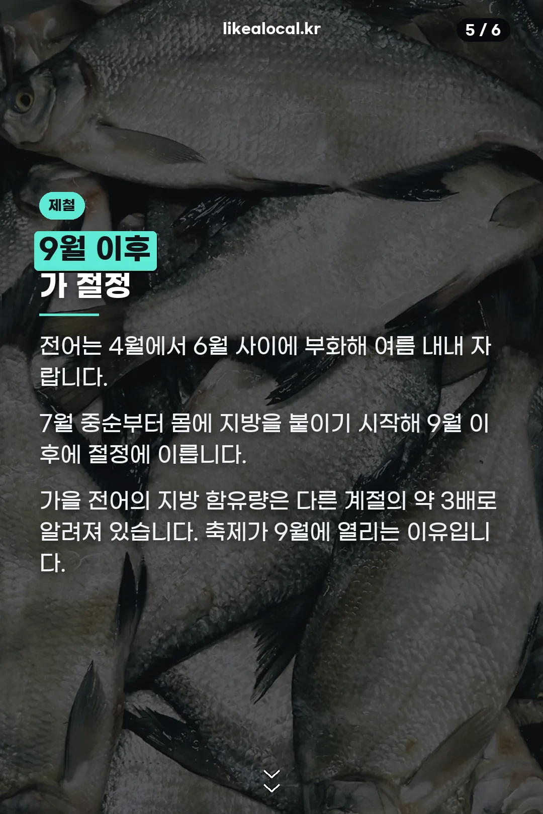 전어 제철