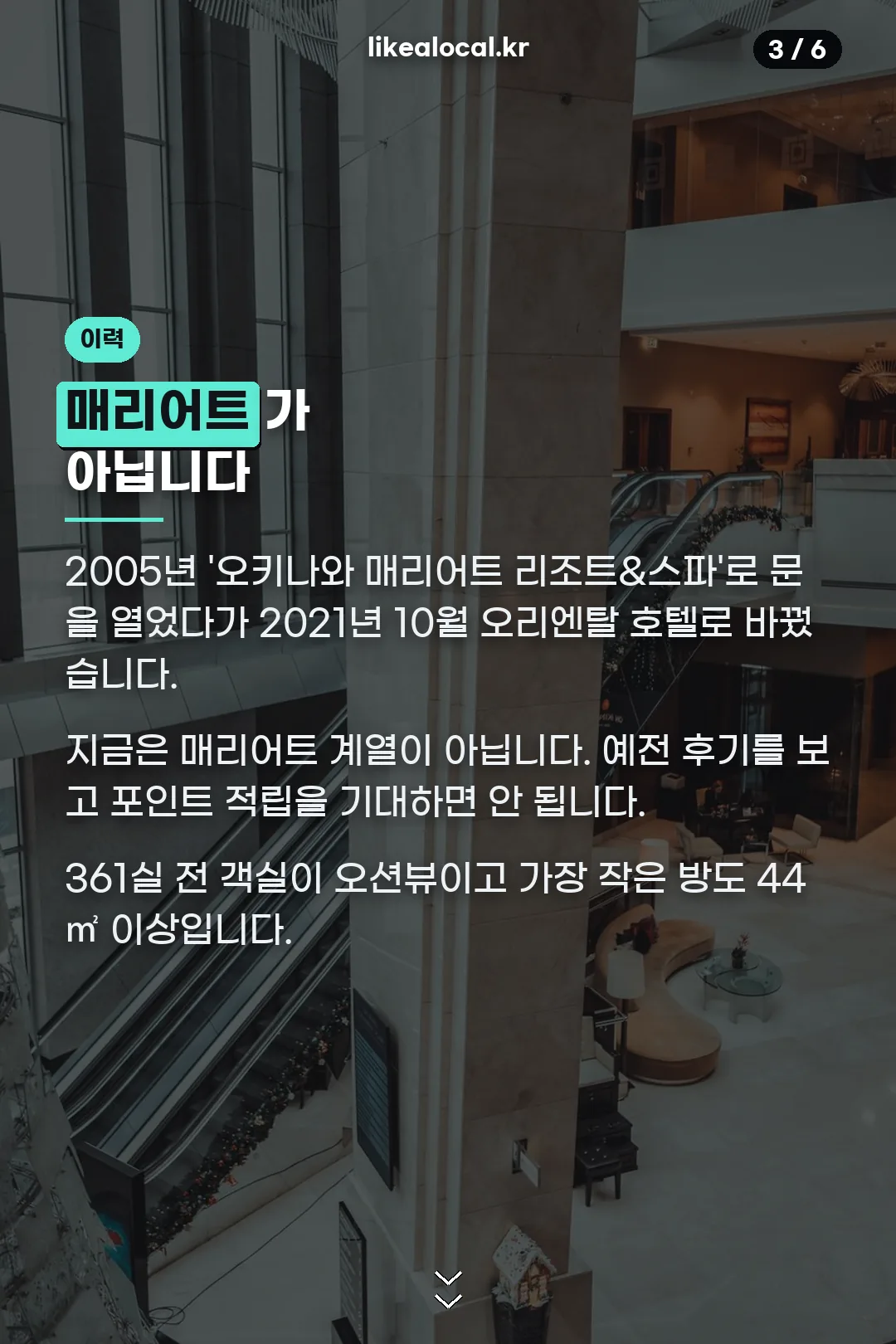 리브랜드 이력