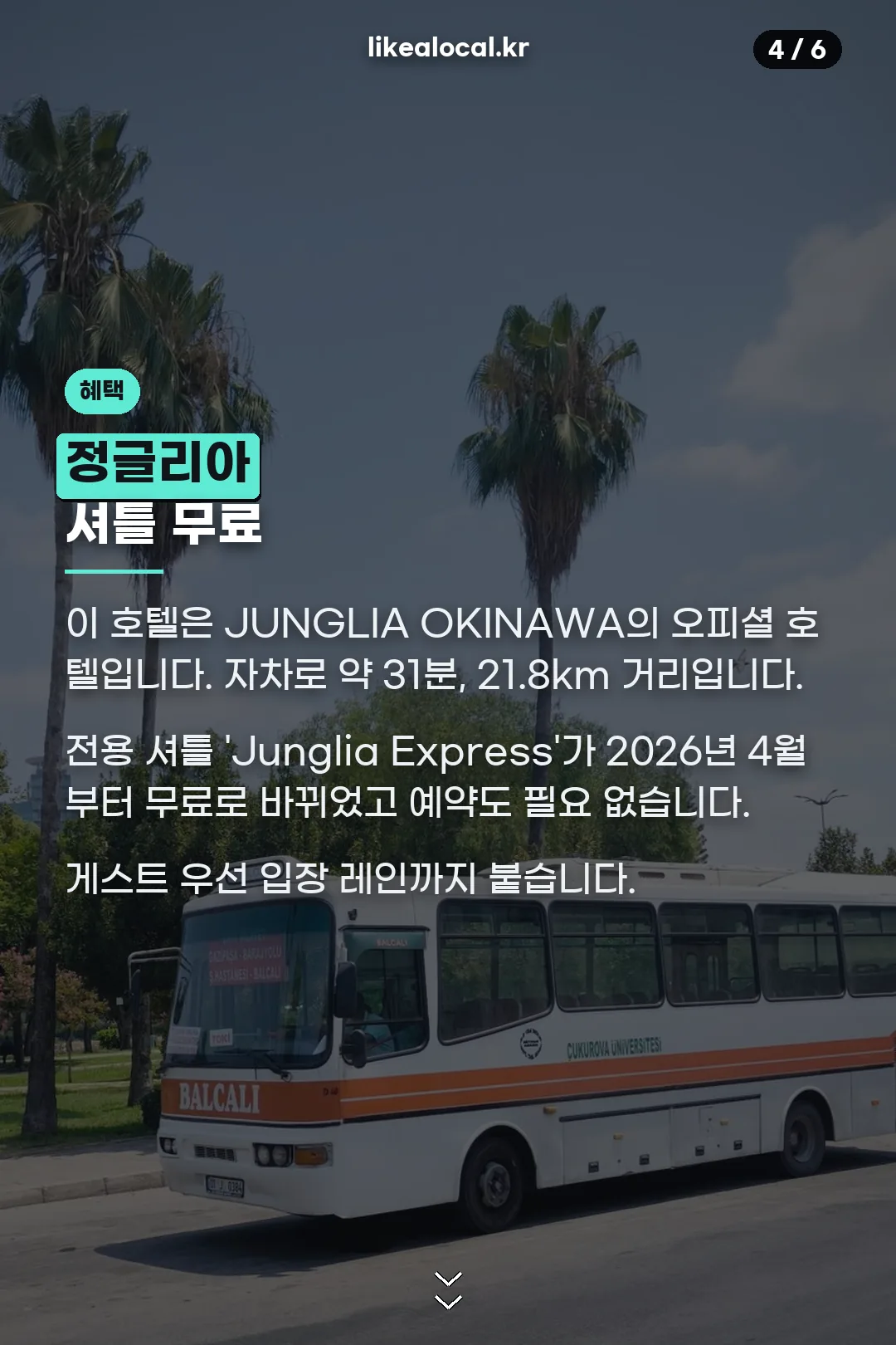 정글리아 셔틀