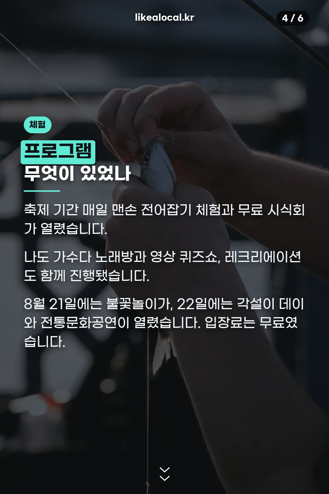 체험 프로그램