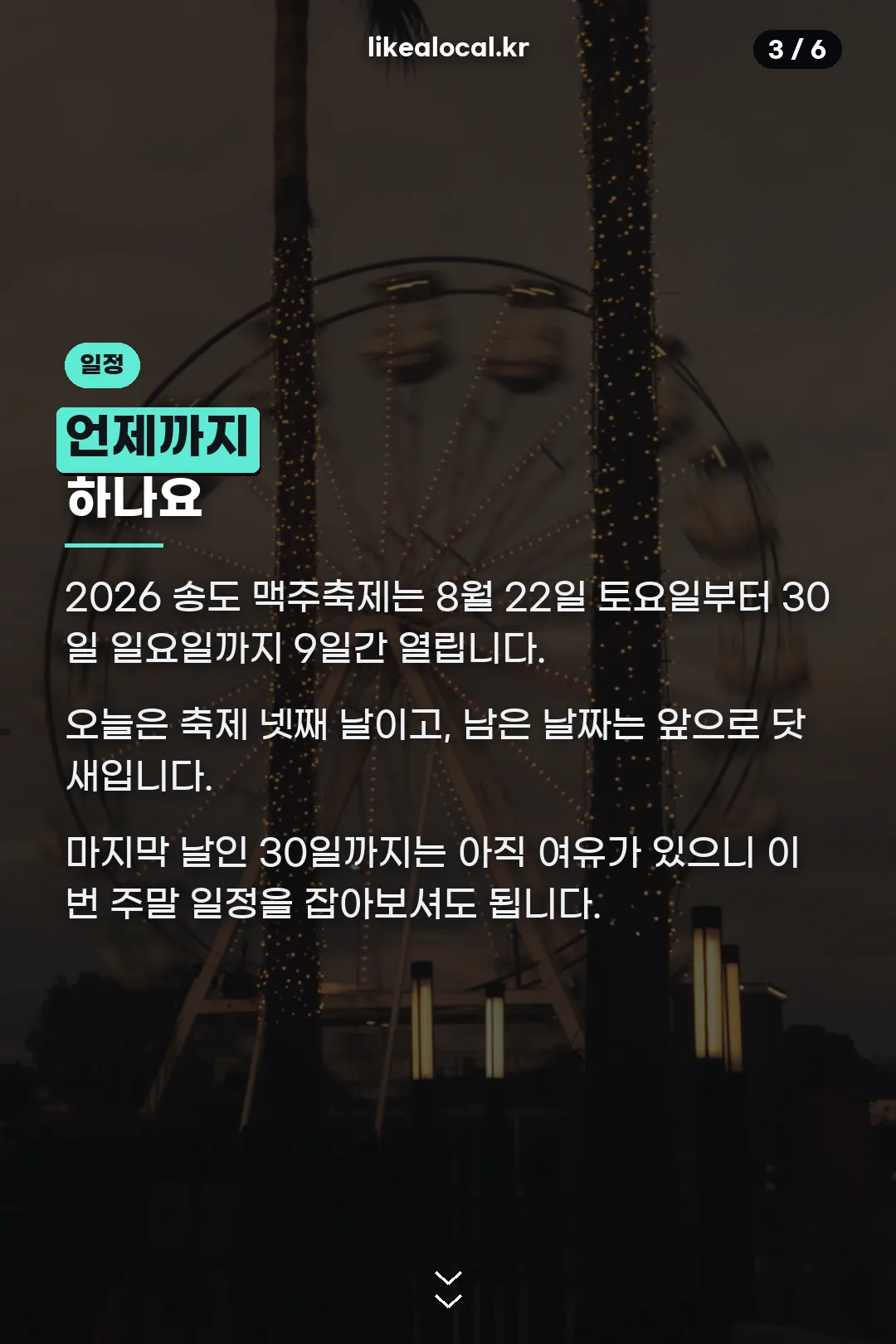 축제 일정
