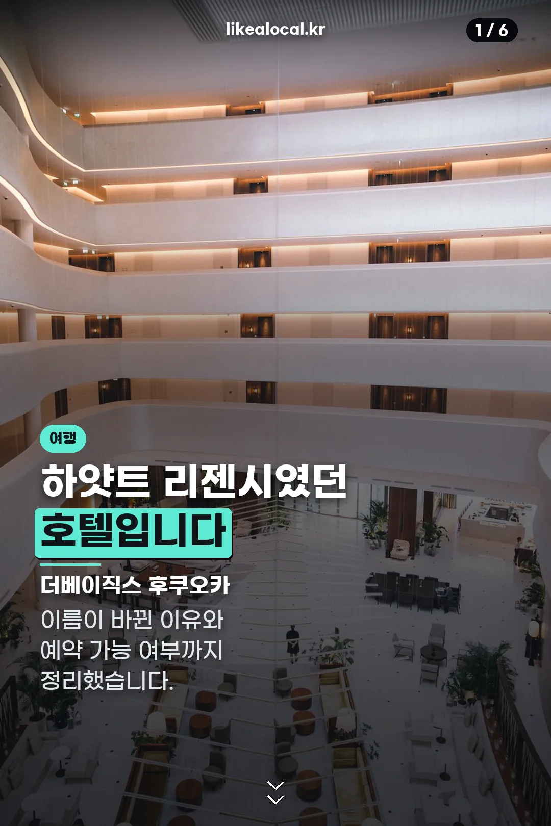더베이직스 후쿠오카 표지