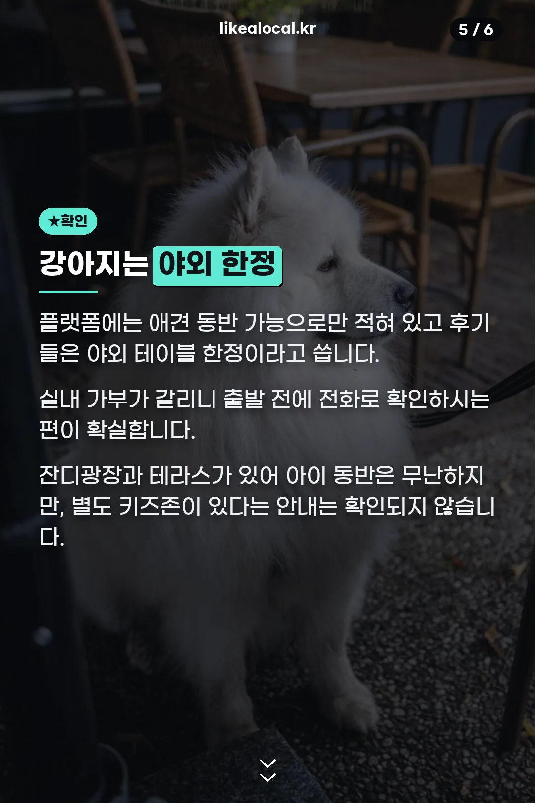 반려동물 동반 확인