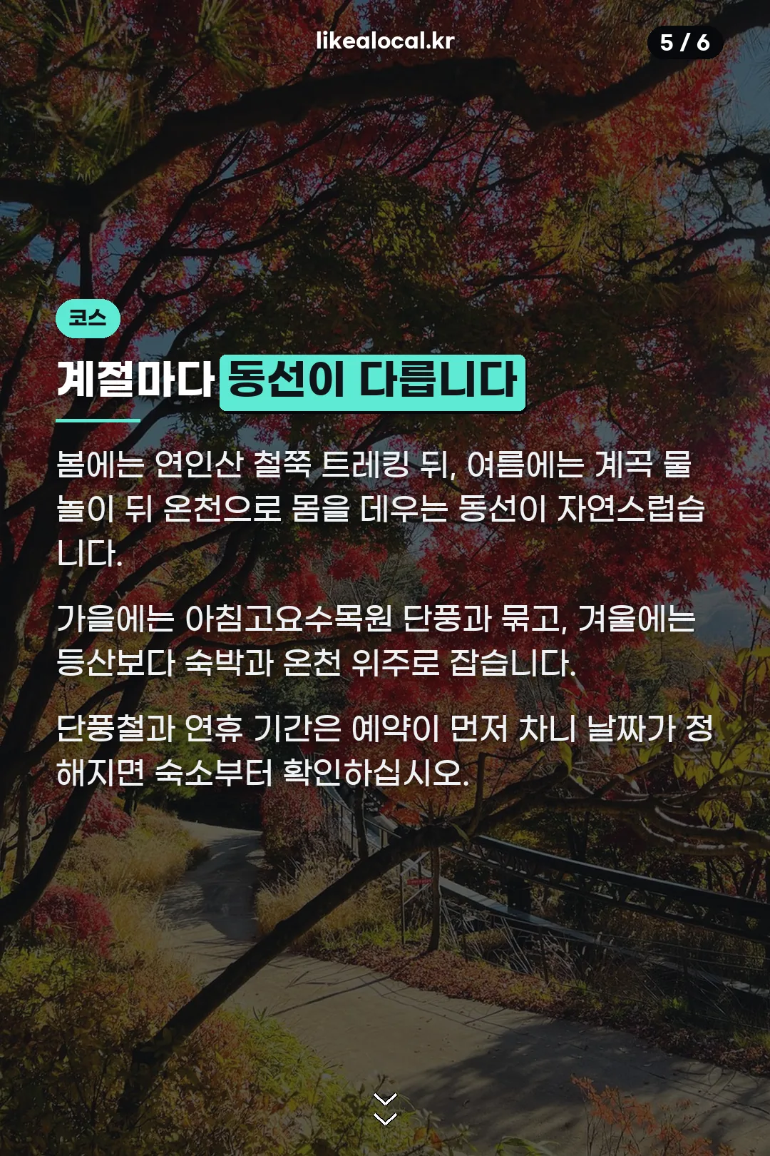 계절별 코스