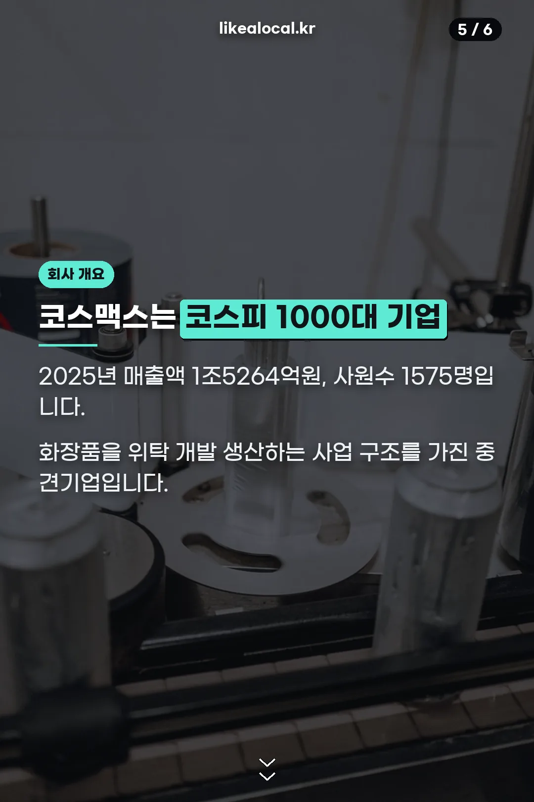 회사 개요