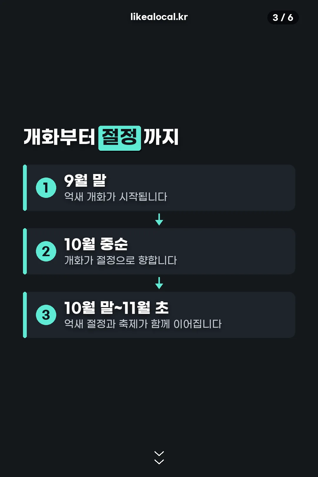 개화부터 절정까지 흐름
