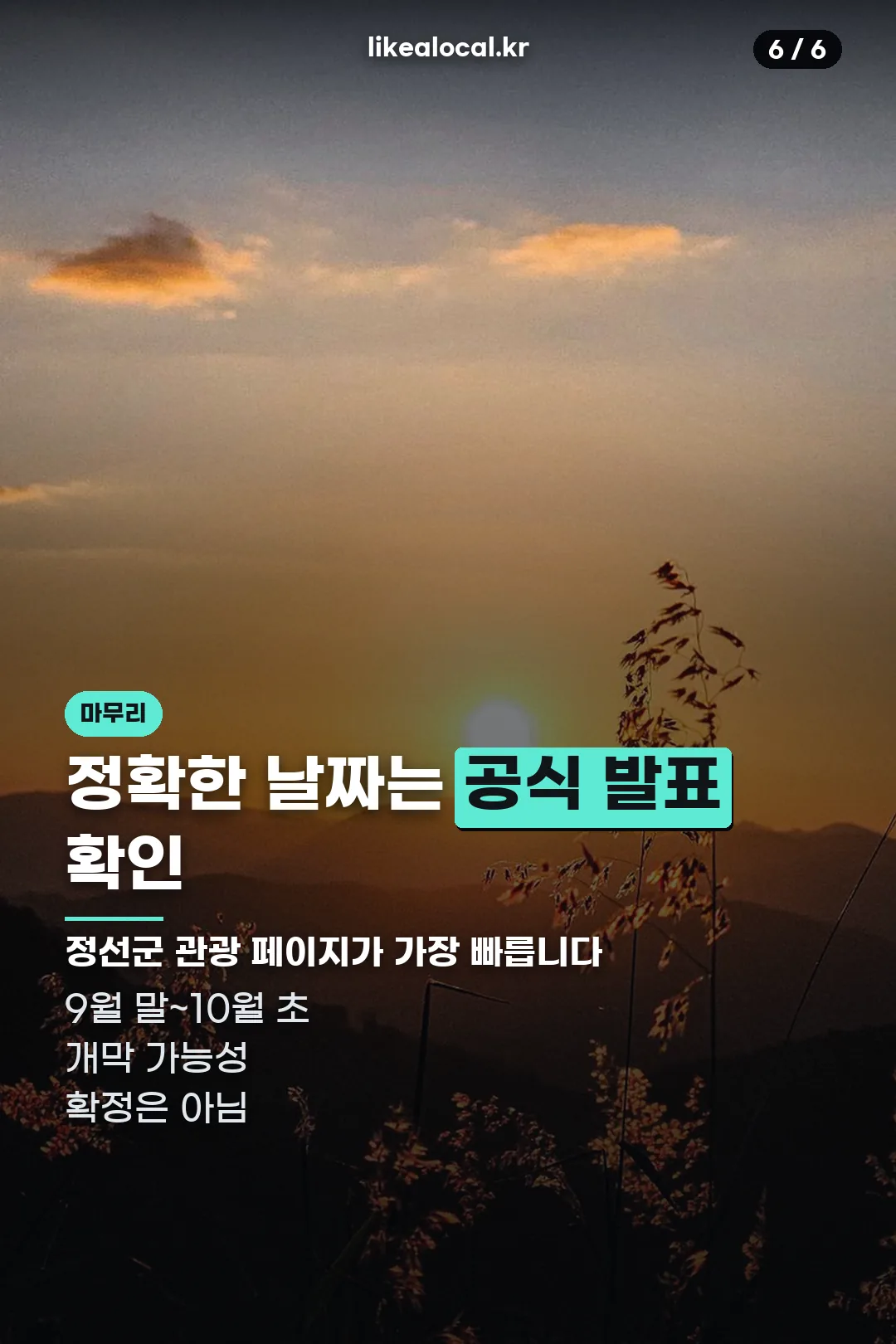 공식 발표 확인 당부