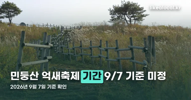 민둥산 억새축제 기간 — 2026년 정확한 날짜는 아직 안 나왔습니다
