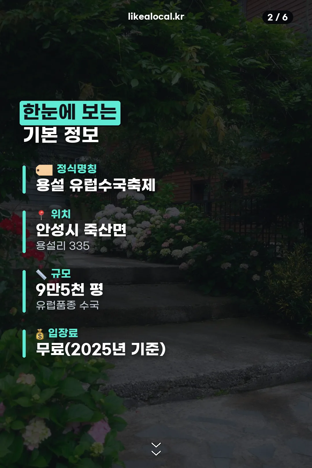 기본 정보 한눈에
