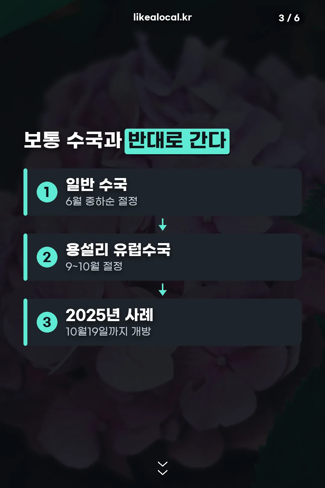일반 수국과 다른 점