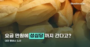 대전 빵버스(빵티칸), 요금과 노선부터 빵택시 비교까지