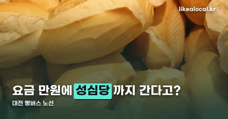 대전 빵티칸 순례 버스 정리 썸네일