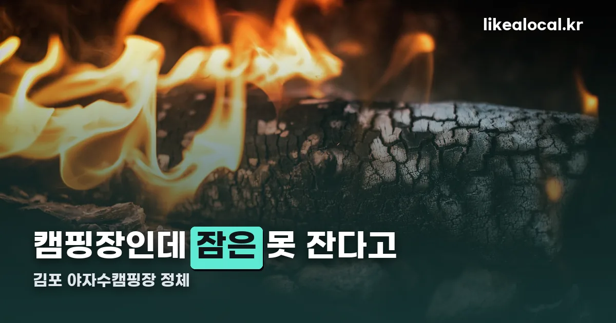 김포 야자수캠핑장 정리 썸네일