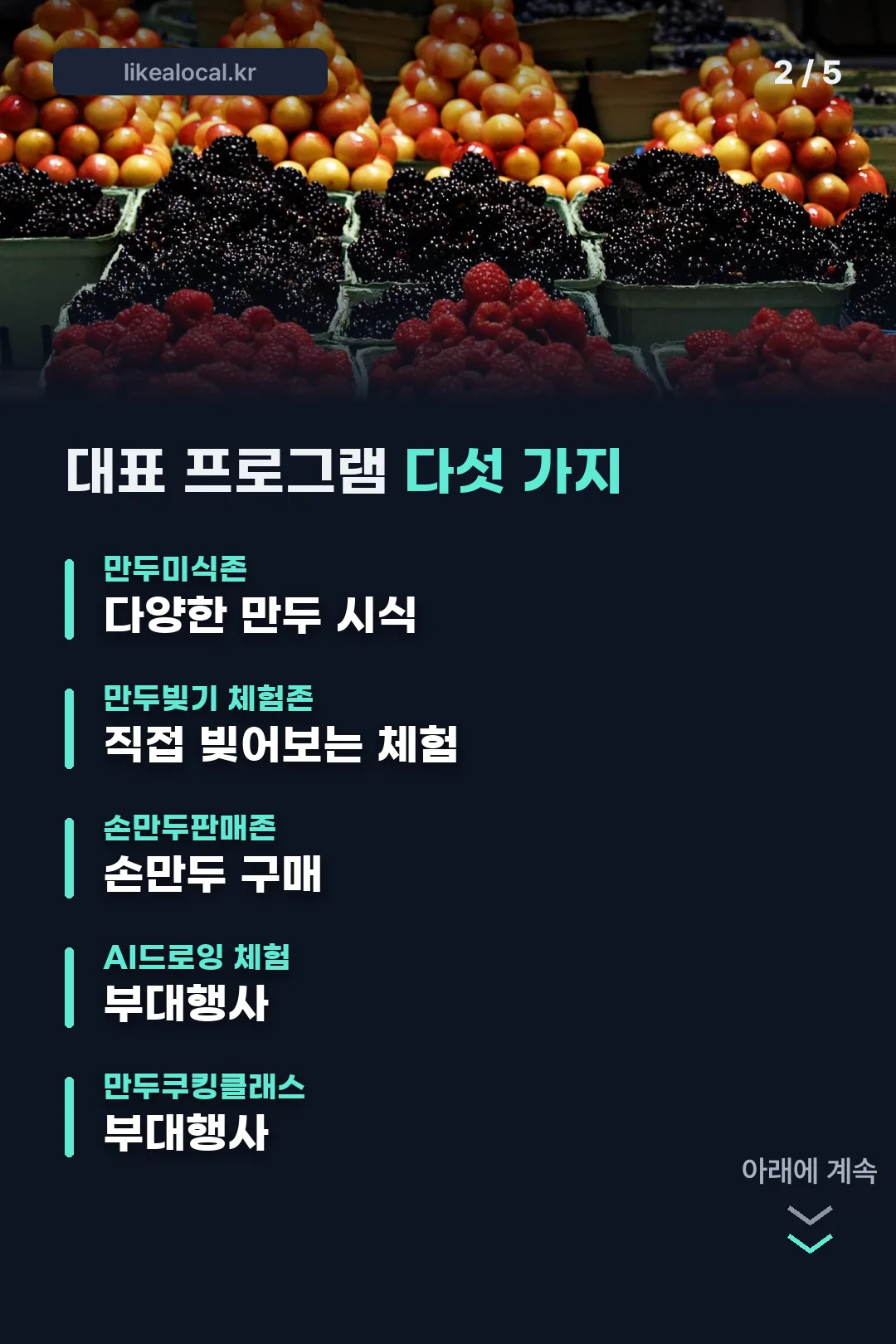 대표 프로그램 다섯 가지